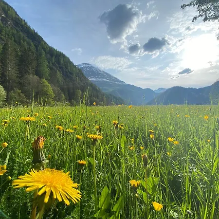 Griable Apartament *