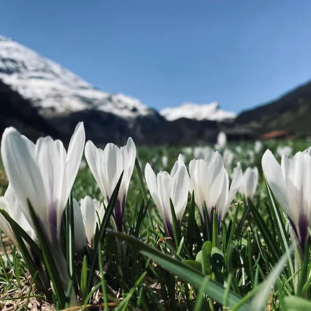 아파트 Griable 스티그