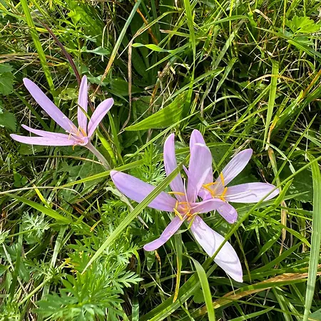 Appartement Griable *