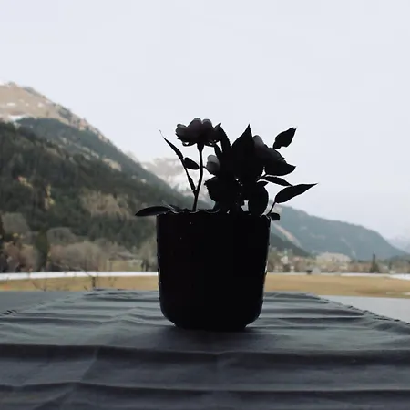 Griable Appartement *