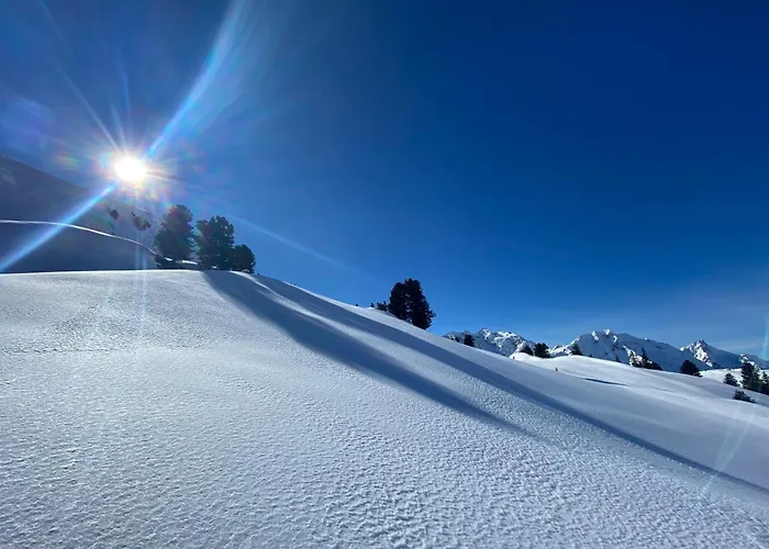 Griable * シュテーク