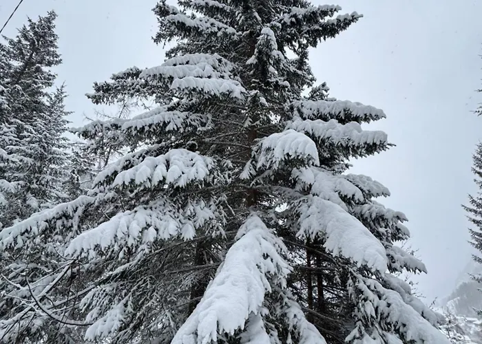 アパート Griable *